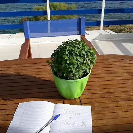 Peaceful Bay بيت ضيافة 4*